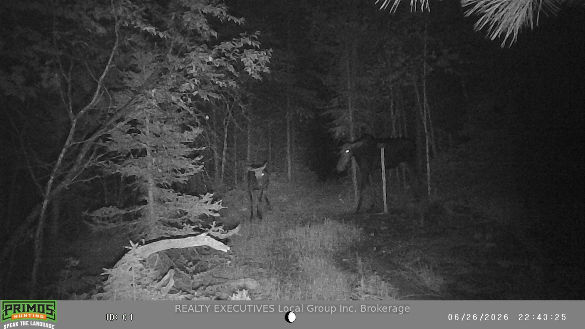 Photo 20 of 14965 South Lorrain Point, Timiskaming, TIM - Outside - Rural — HOMEH