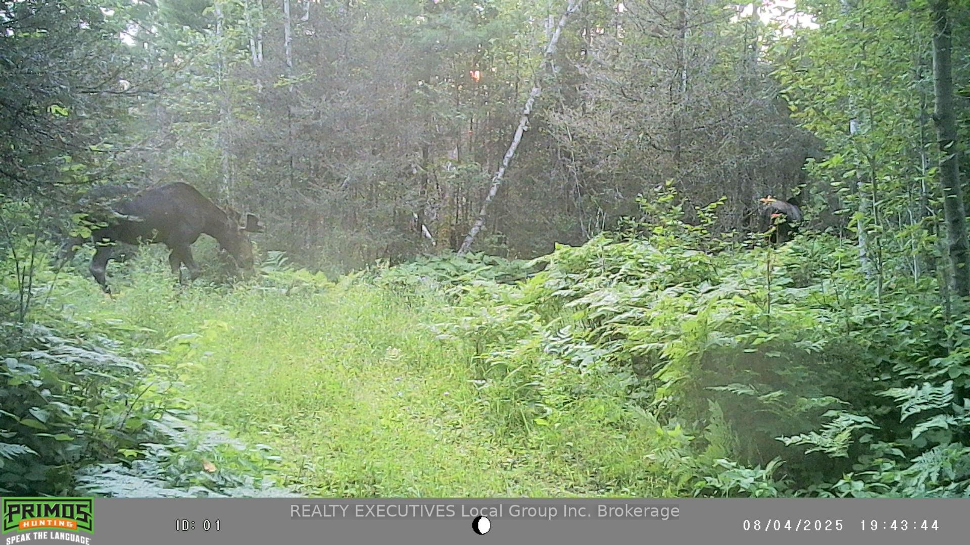 Photo 22 of 14965 South Lorrain Point, Timiskaming, TIM - Outside - Rural — HOMEH