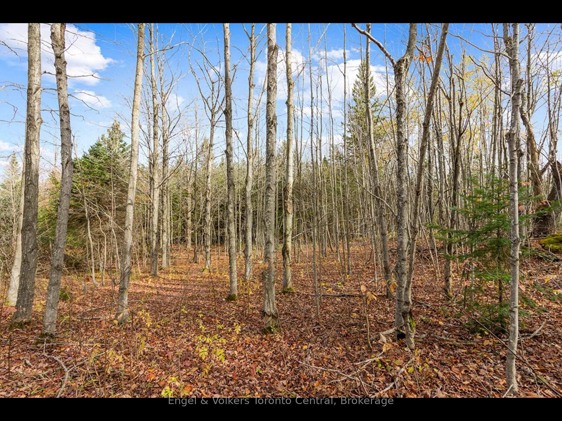 Photo 6 of 429560 8th B Concession, Grey Highlands — HOMEH