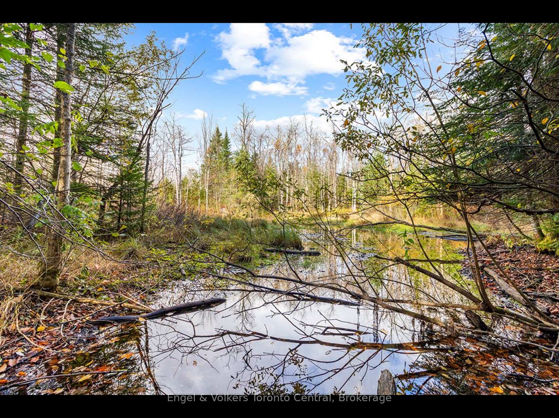 Photo 7 of 429560 8th B Concession, Grey Highlands — HOMEH