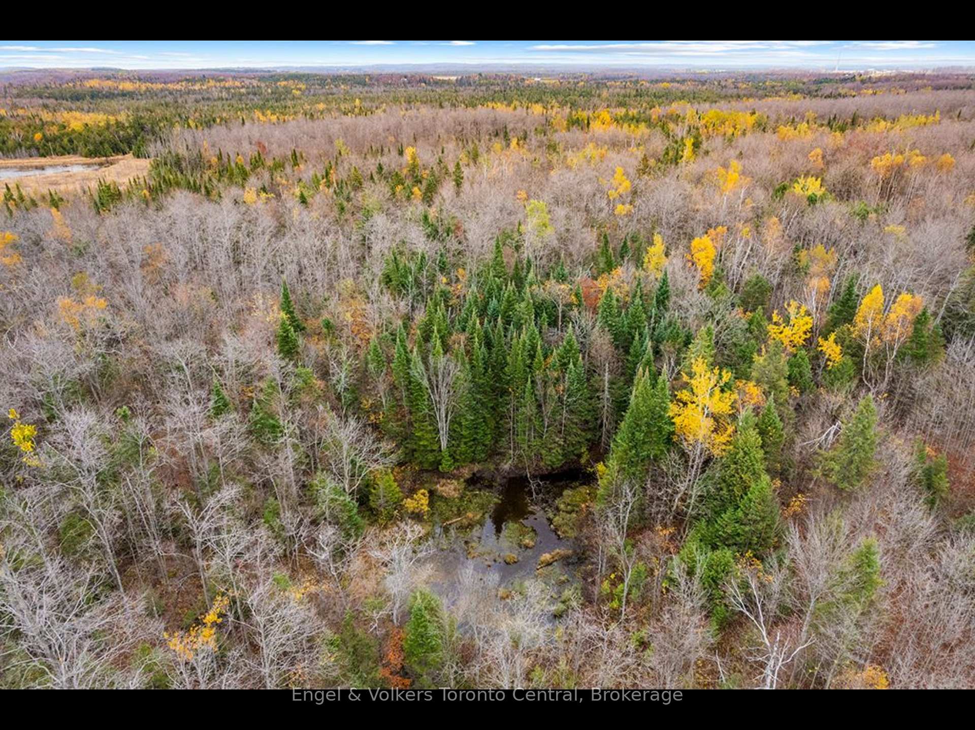 Photo 10 of 429560 8th B Concession, Grey Highlands — HOMEH