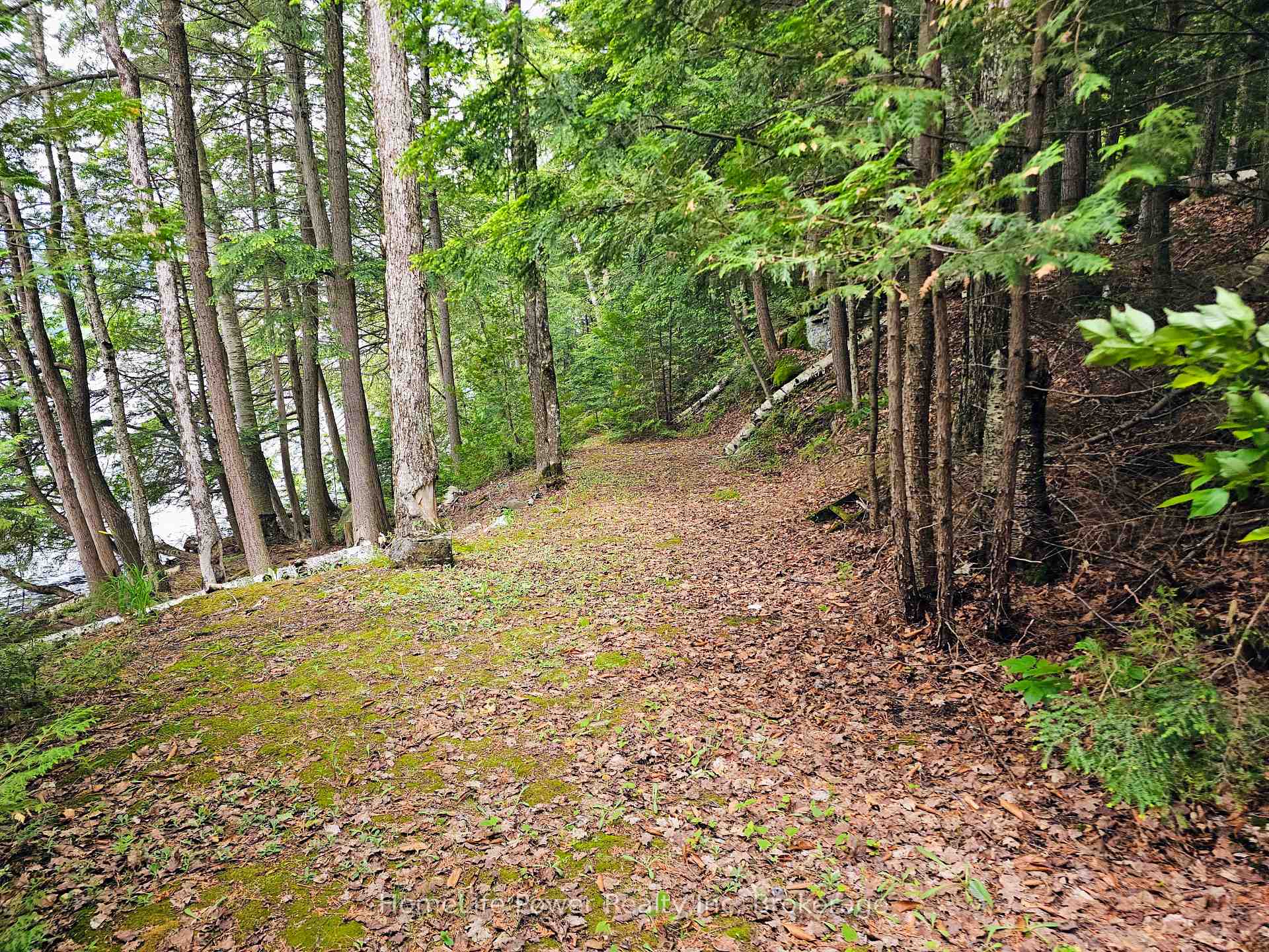Photo 9 of 1021 Chalmers Lane, Frontenac, Frontenac North — HOMEH