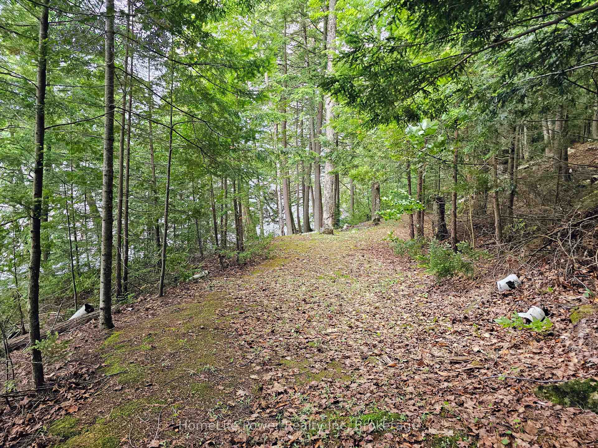 Photo 10 of 1021 Chalmers Lane, Frontenac, Frontenac North — HOMEH