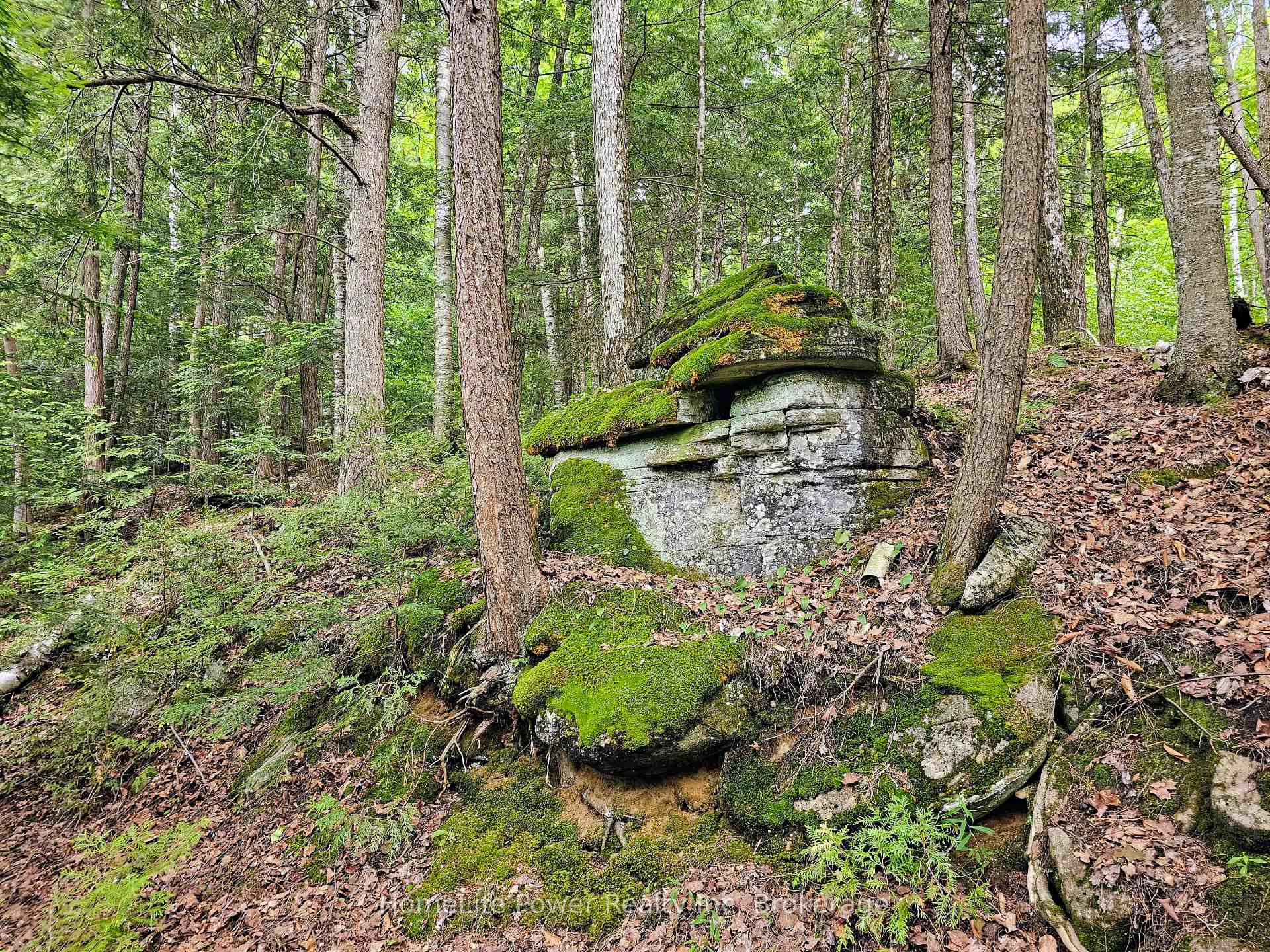 Photo 12 of 1021 Chalmers Lane, Frontenac, Frontenac North — HOMEH