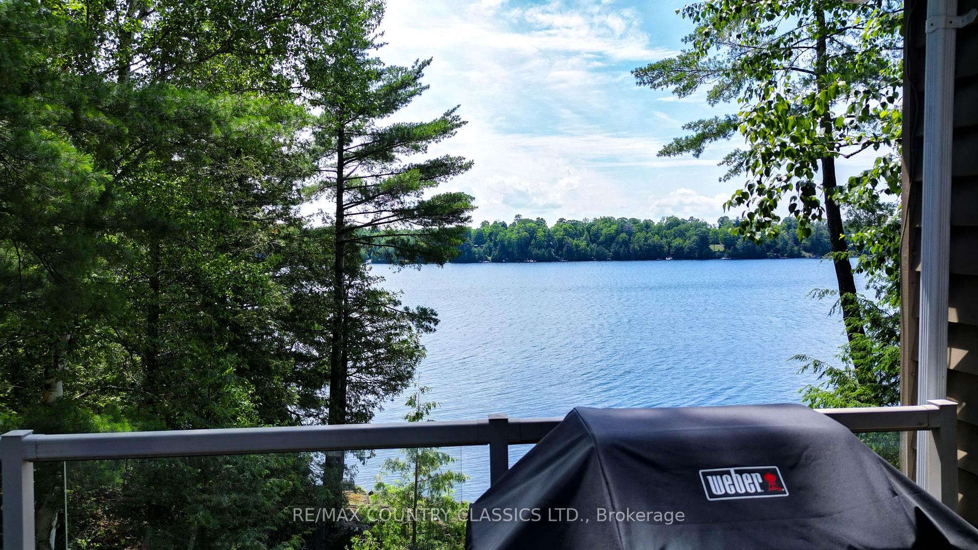 Photo 43 of 342 Jennison Road, Marmora and Lake, Lake Ward — HOMEH