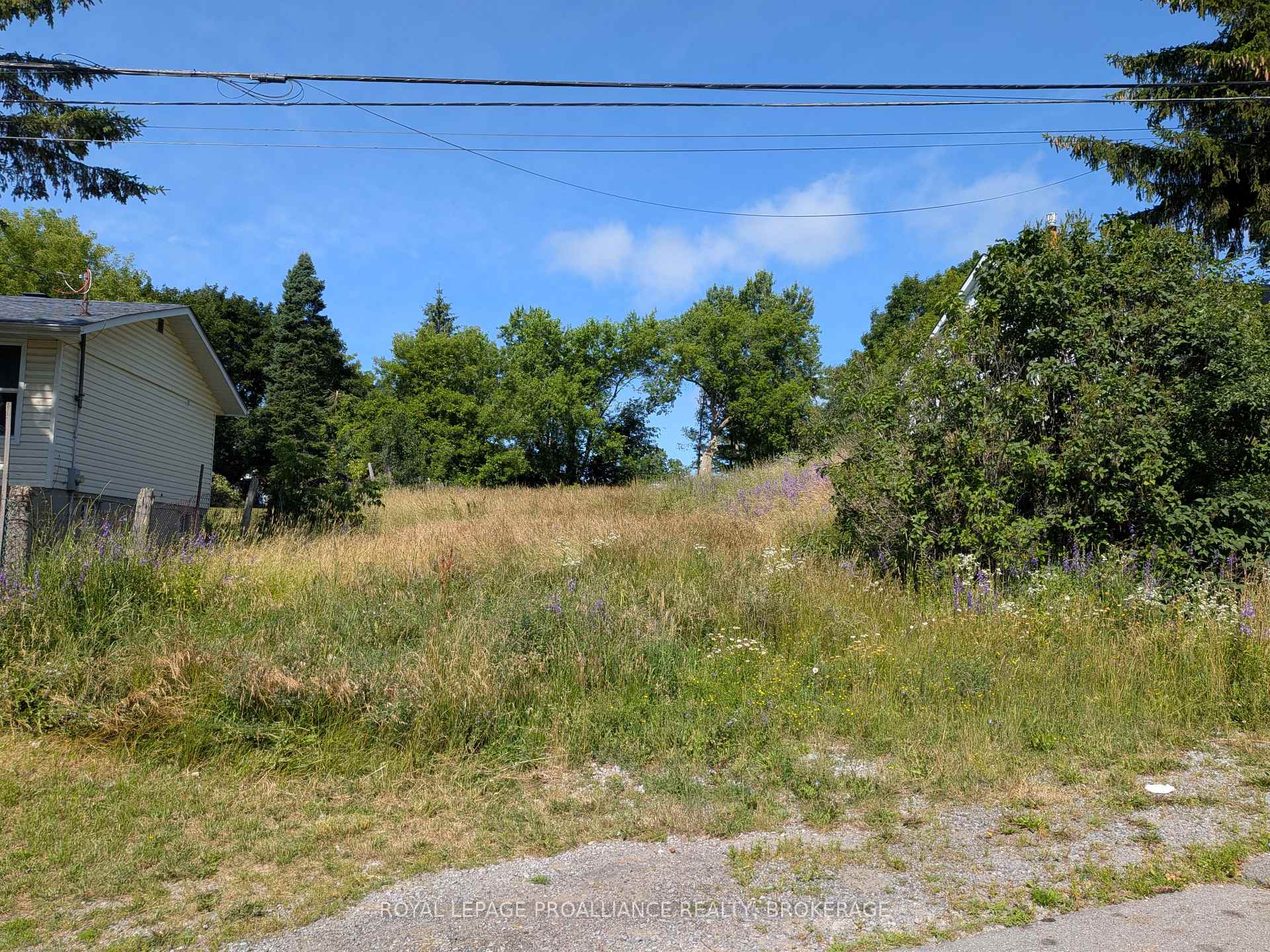 Photo 1 of 20 Shaw Street, Kingston, Rideau — HOMEH