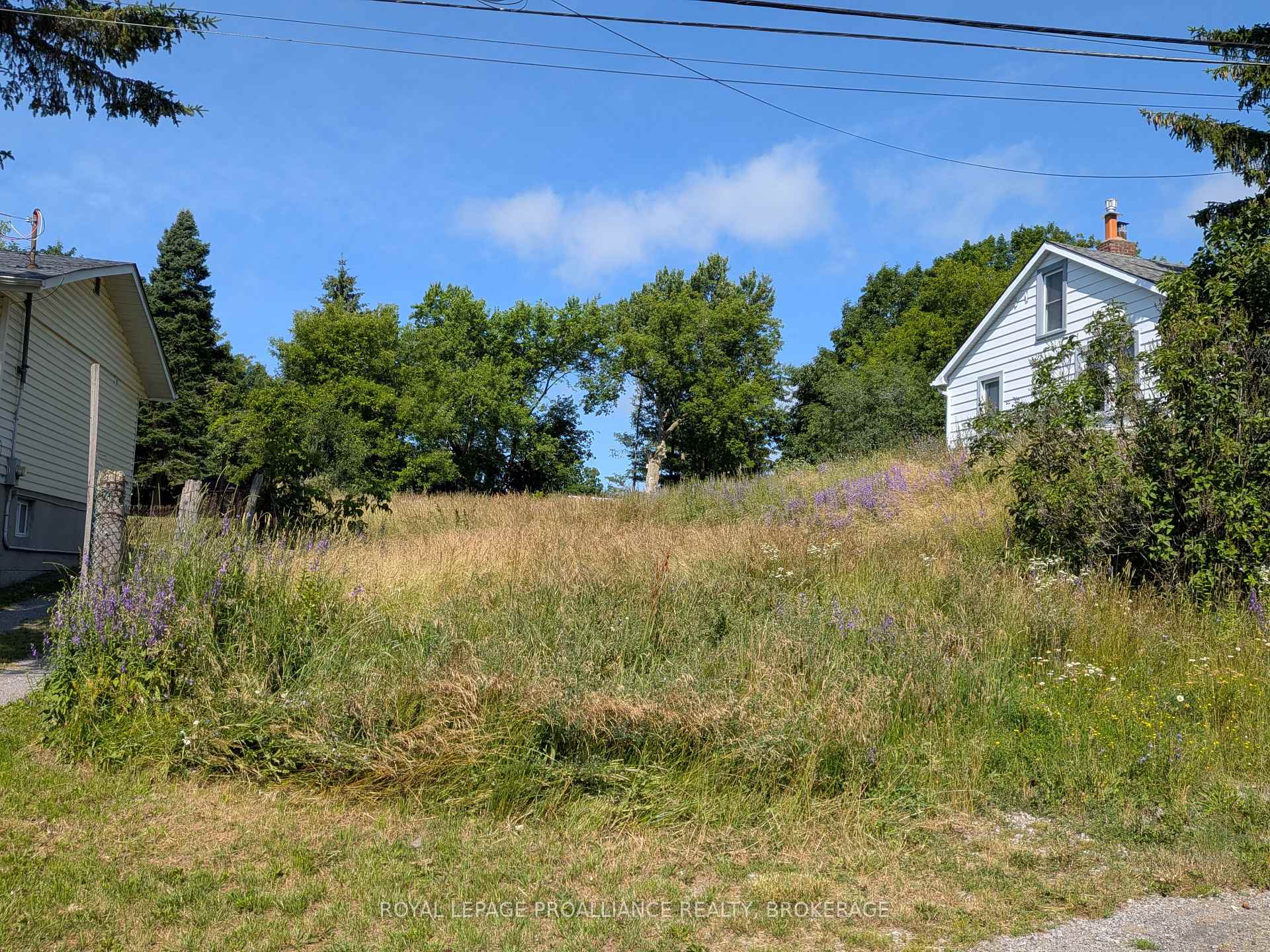 Photo 2 of 20 Shaw Street, Kingston, Rideau — HOMEH
