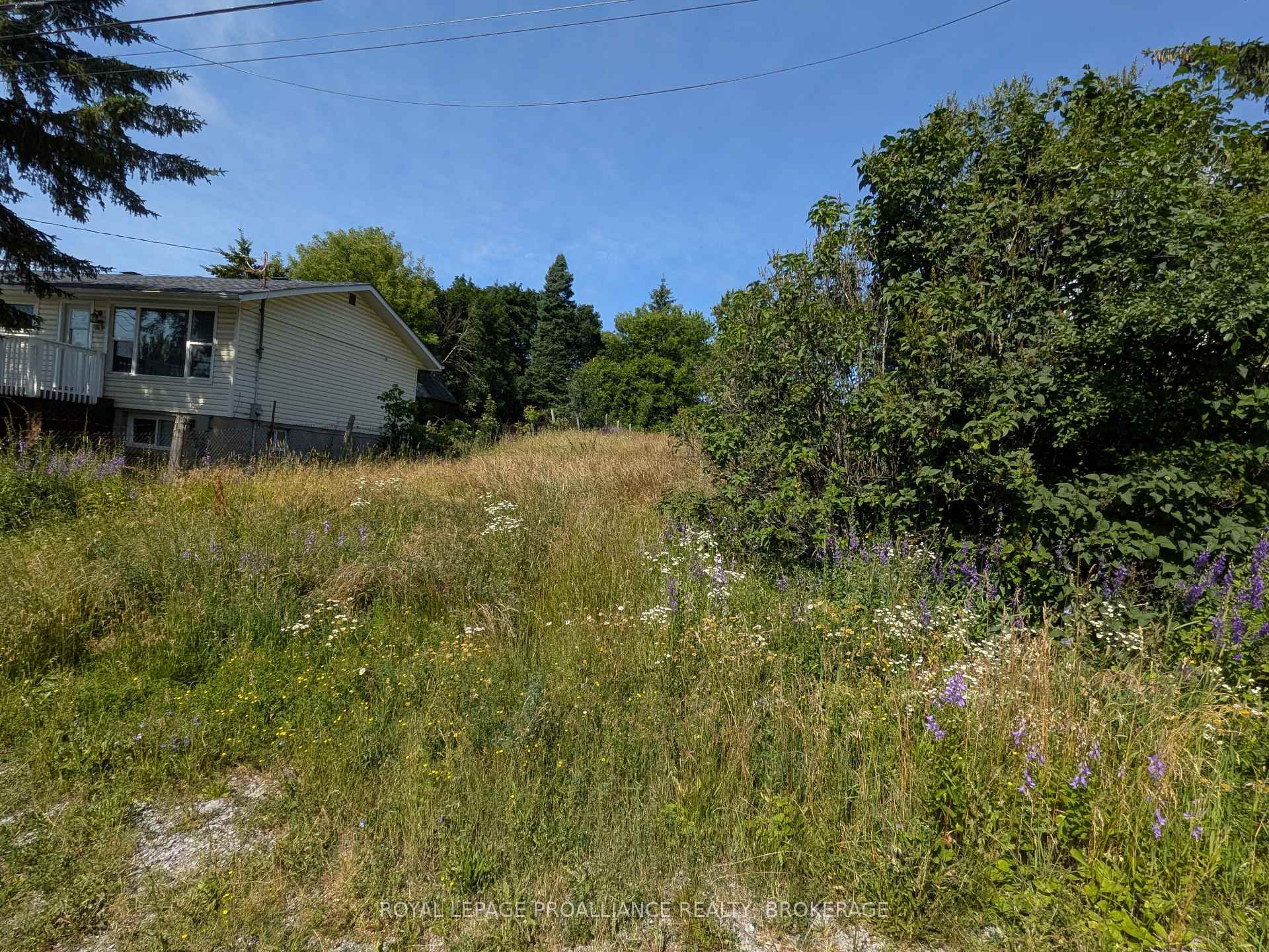 Photo 4 of 20 Shaw Street, Kingston, Rideau — HOMEH