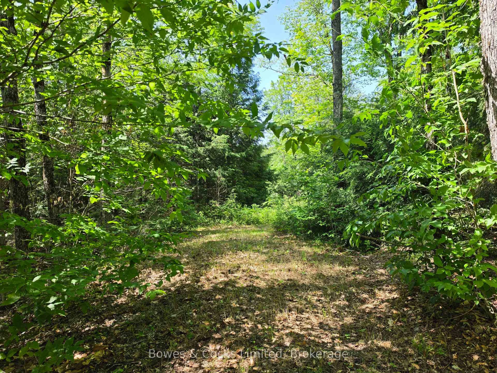 Photo of 1160 Balmer Road