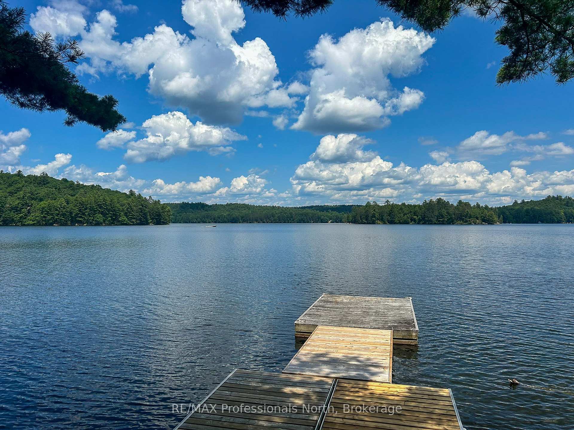 Photo 27 of 1129 Comak Crescent, Algonquin Highlands, Sherborne — HOMEH