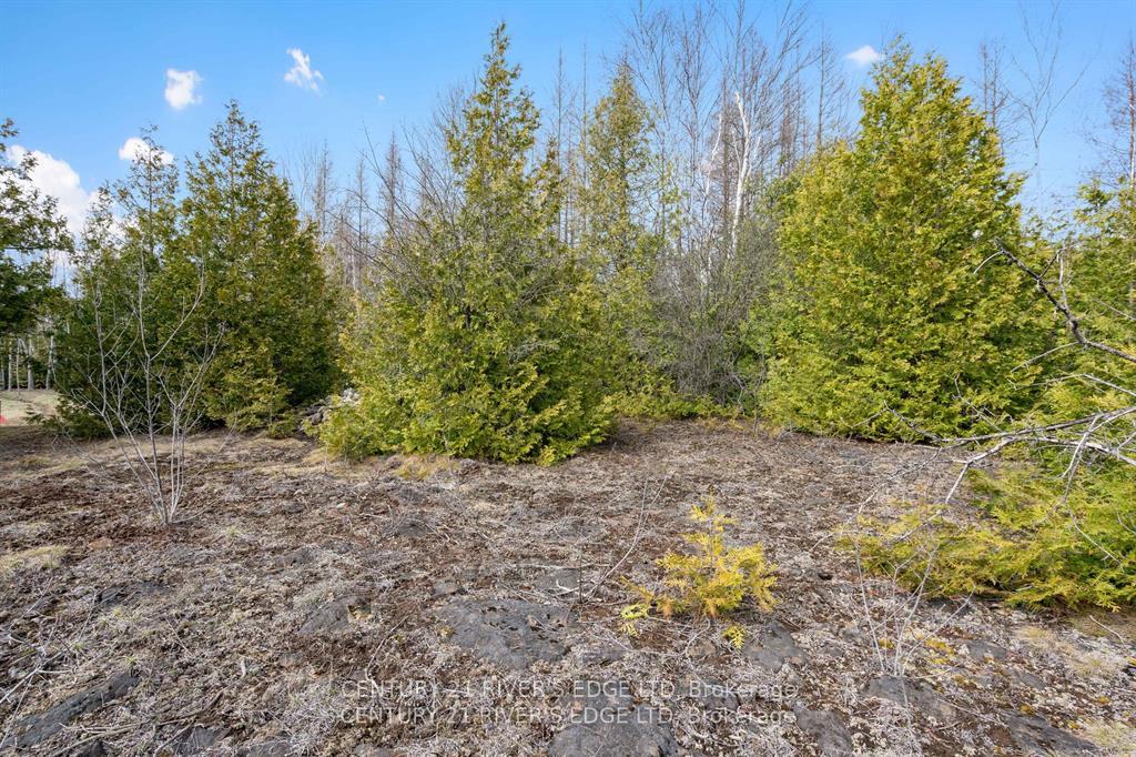 Photo 17 of 308 Forbes Road, North Grenville, North Grenville Twp (Kemptville South) — HOMEH