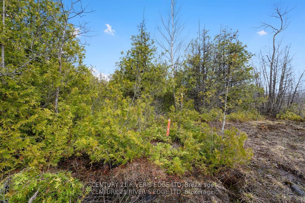 Photo 18 of 308 Forbes Road, North Grenville, North Grenville Twp (Kemptville South) — HOMEH