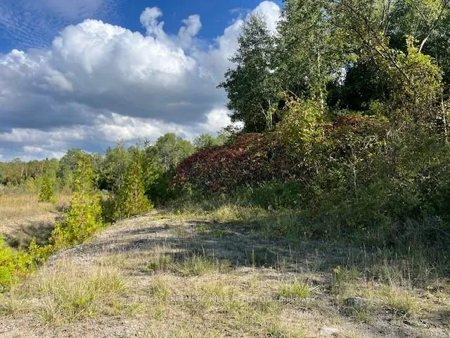 Photo 3 of 5 concession, Clearview, Rural Clearview — HOMEH