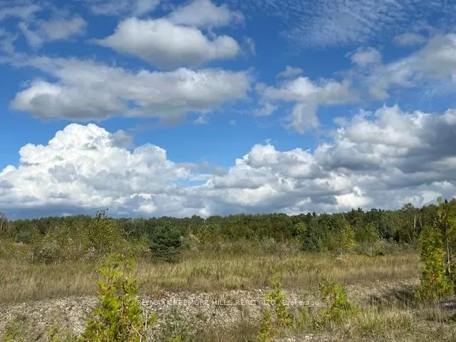 Photo 5 of 5 concession, Clearview, Rural Clearview — HOMEH