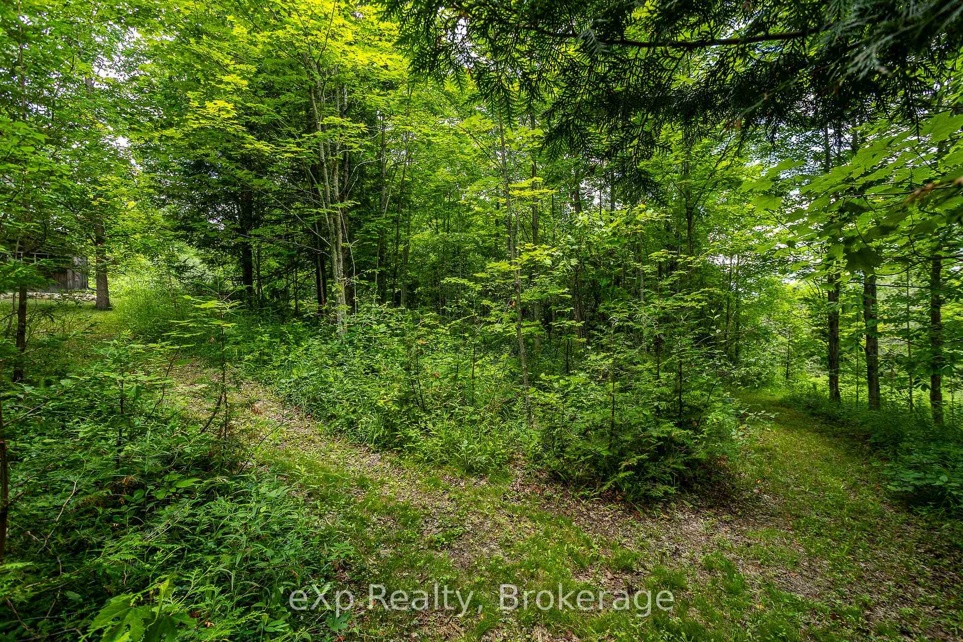 Photo 44 of 720232 Sideroad 20, Chatsworth — HOMEH