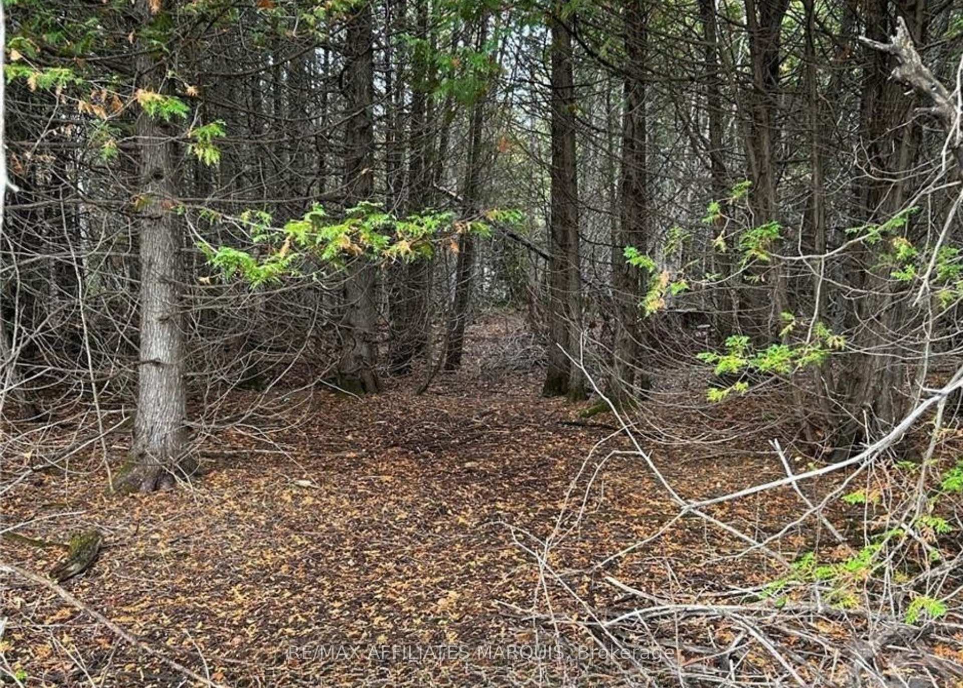 Photo 3 of Rocksprings Road, Elizabethtown-Kitley, Elizabethtown Kitley (Old Kitley) Twp — HOMEH