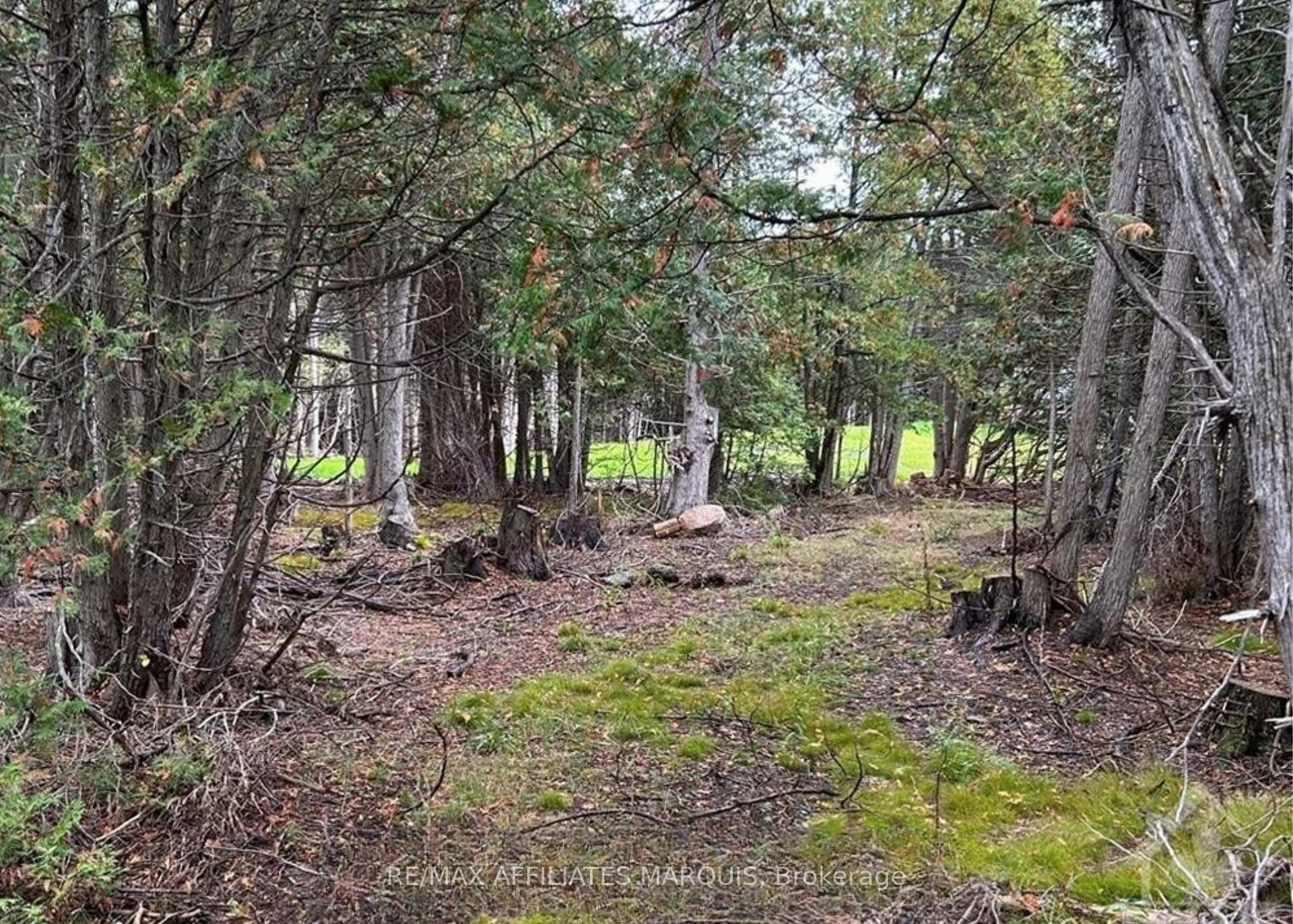 Photo 4 of Rocksprings Road, Elizabethtown-Kitley, Elizabethtown Kitley (Old Kitley) Twp — HOMEH
