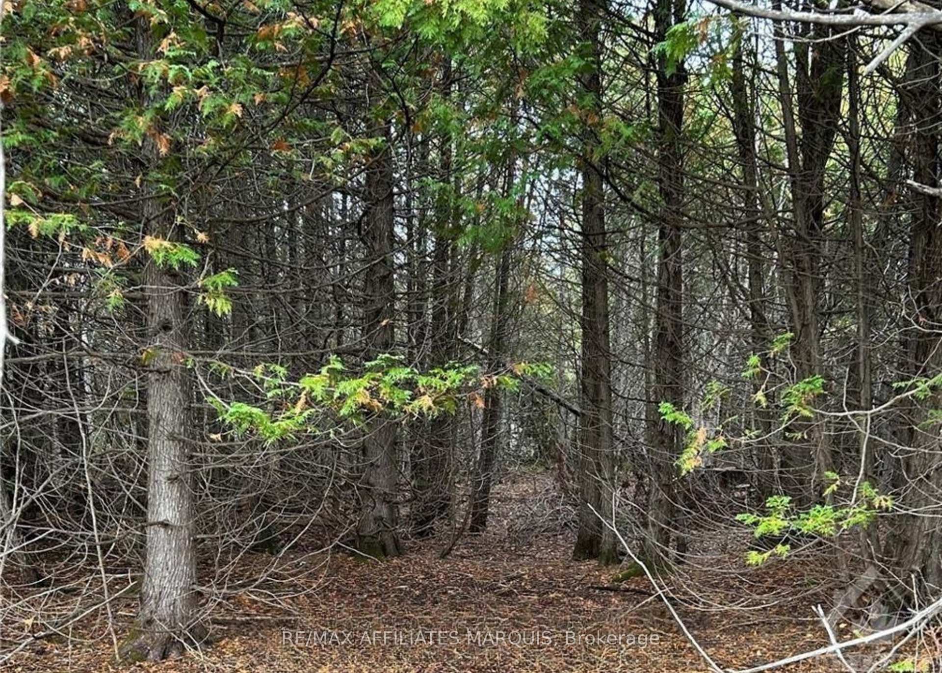 Photo 5 of Rocksprings Road, Elizabethtown-Kitley, Elizabethtown Kitley (Old Kitley) Twp — HOMEH