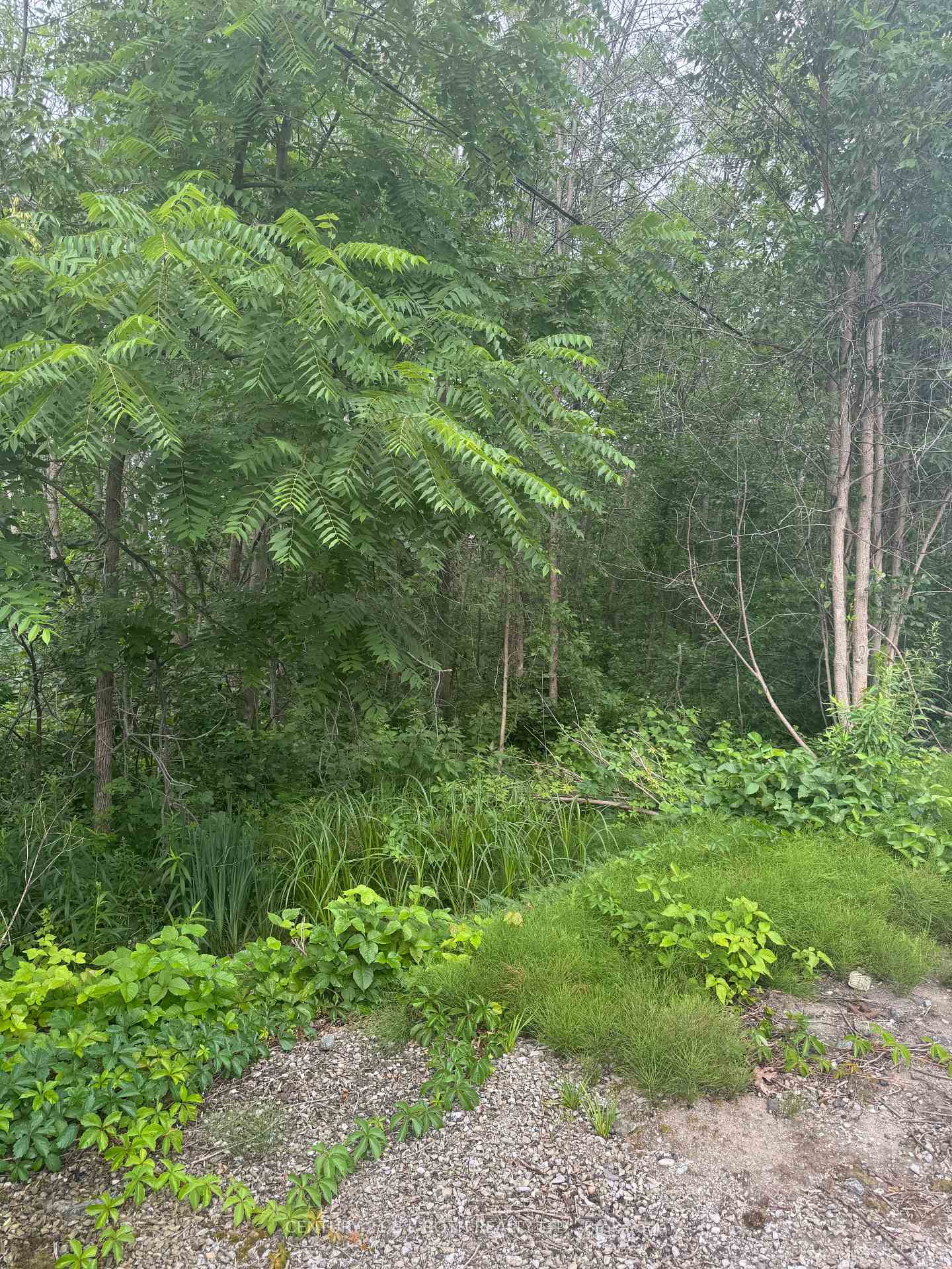 Photo 2 of 3330 Quetton Street, Severn, Washago — HOMEH