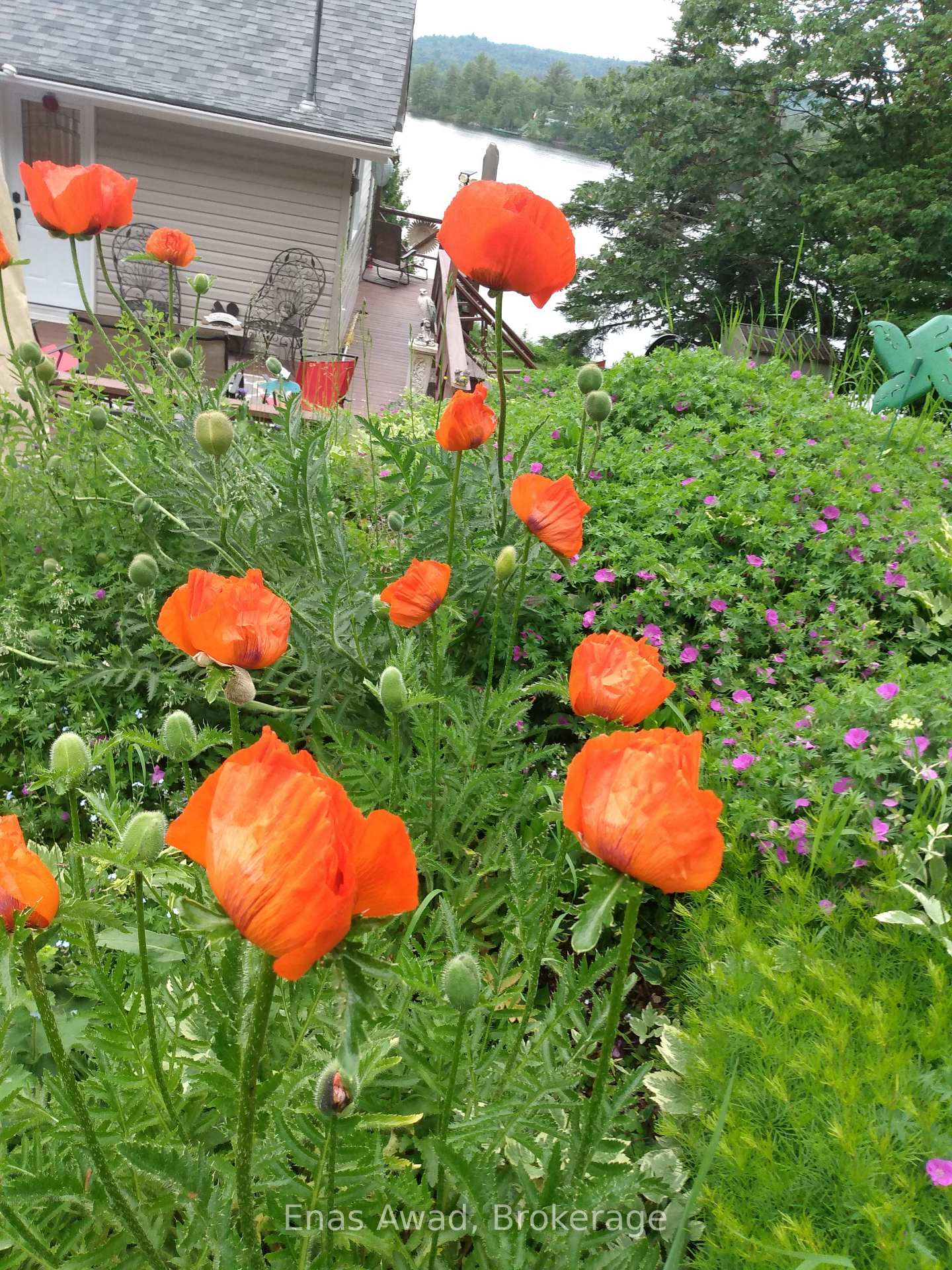 Photo 86 of 288 Old Mill Road, Sault Ste Marie — HOMEH