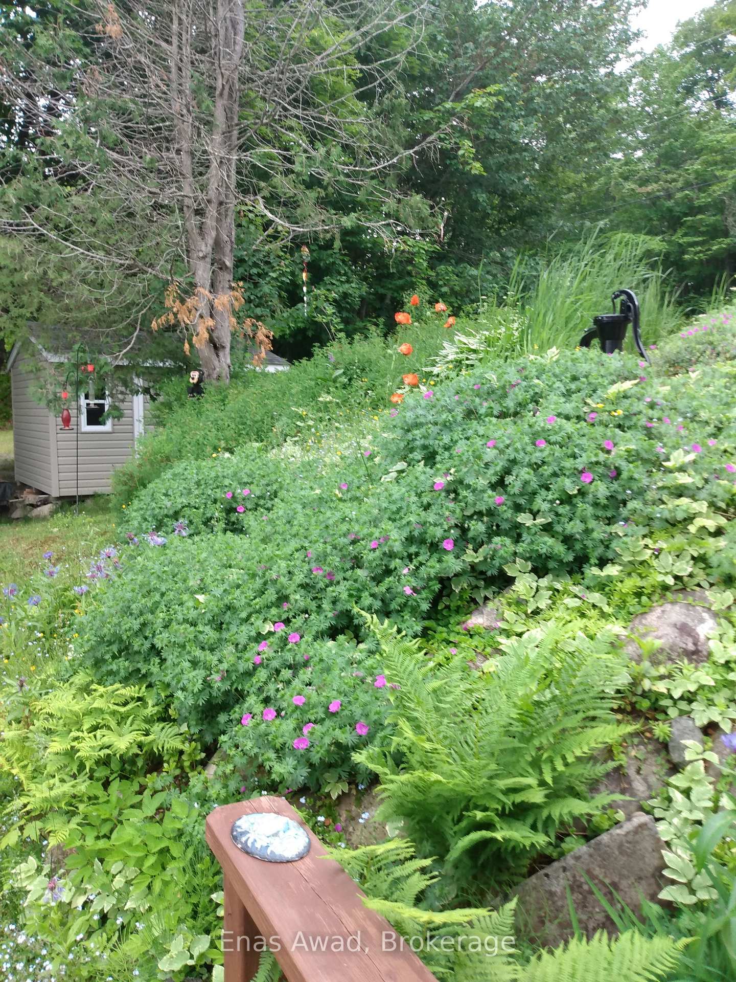 Photo 87 of 288 Old Mill Road, Sault Ste Marie — HOMEH