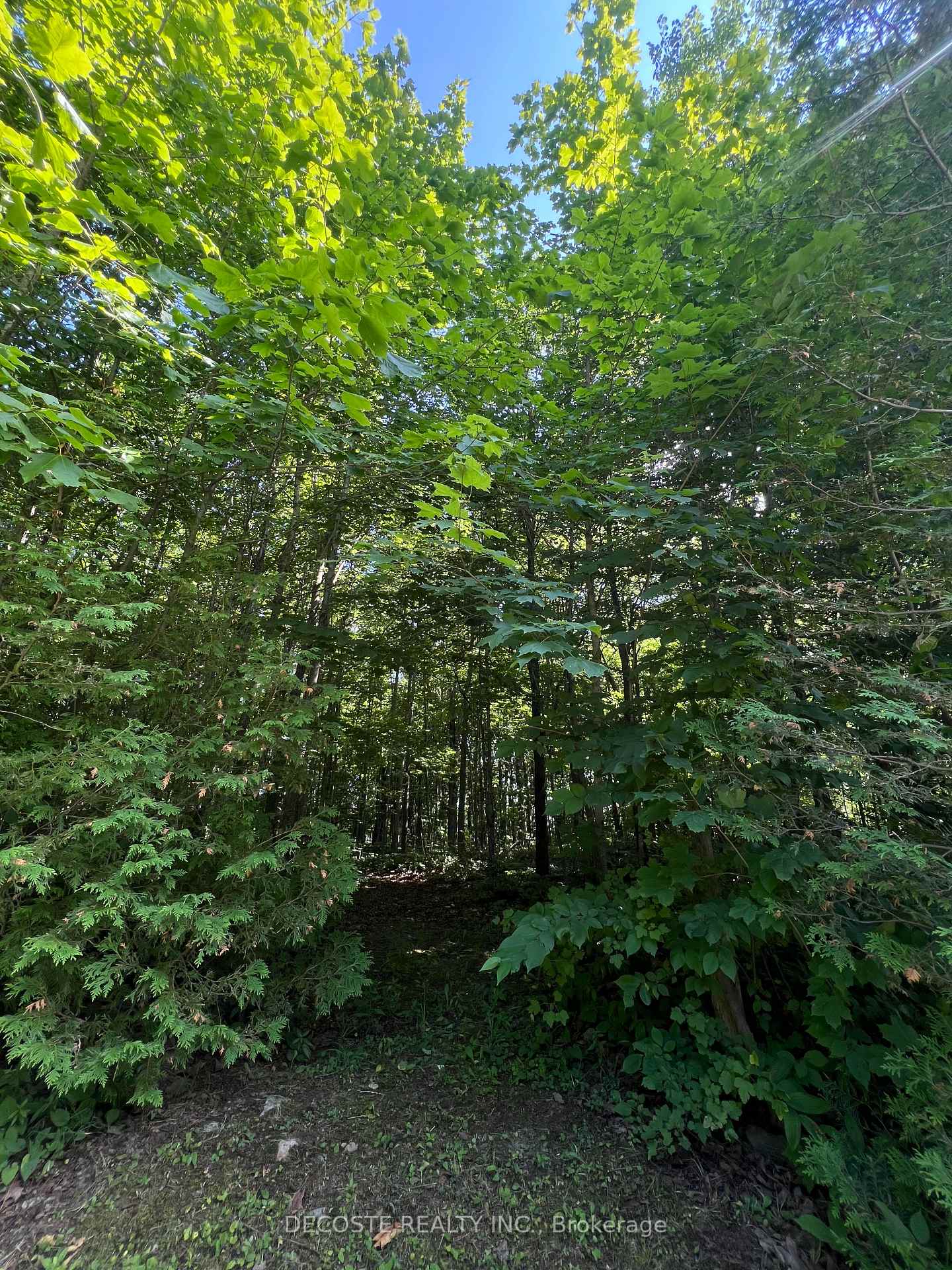 Photo 2 of Maple Road, South Glengarry, South Glengarry (Charlottenburgh) Twp — HOMEH
