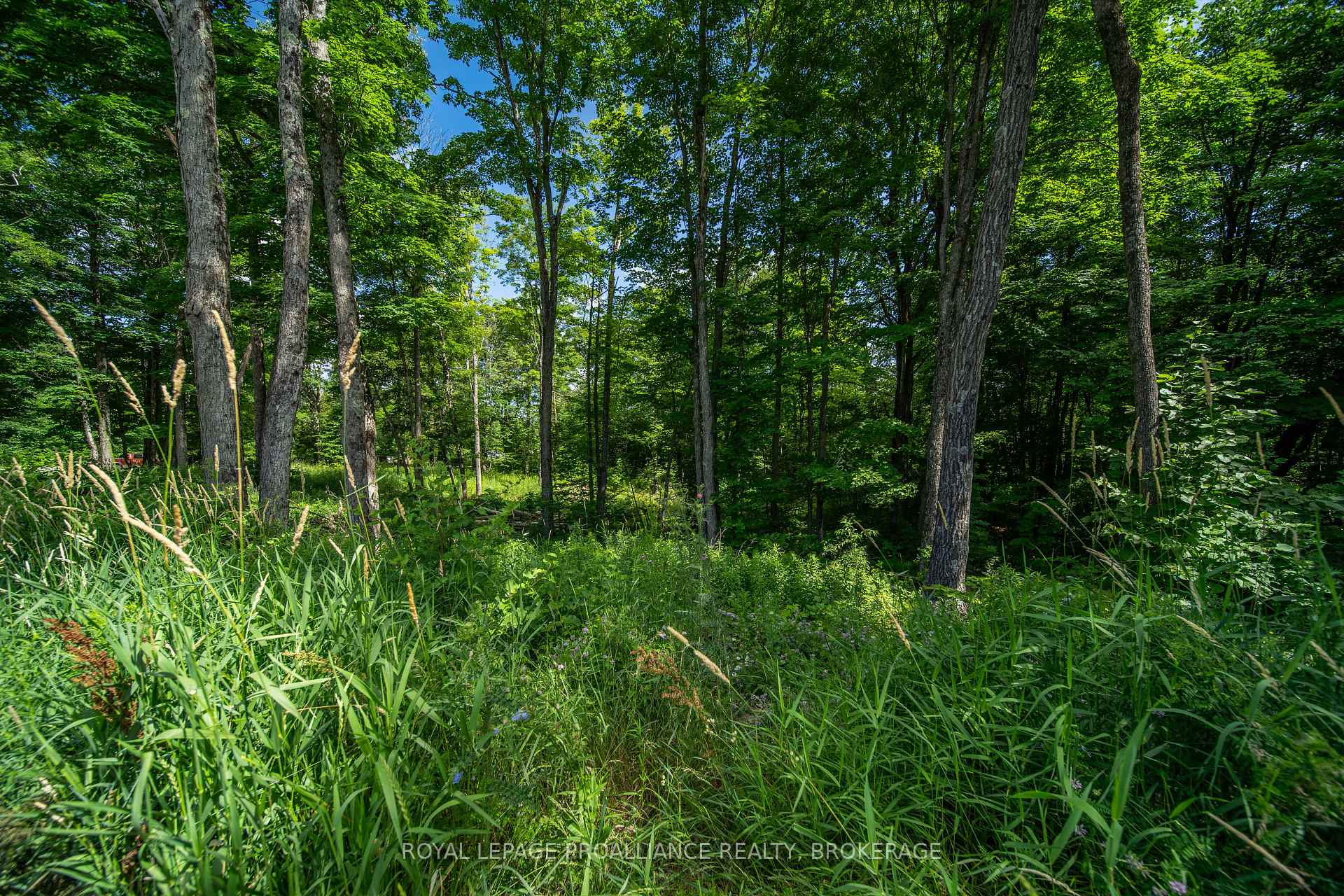 Photo 7 of Lot 18,  Part 3 Townline Road, Frontenac, Frontenac Centre — HOMEH