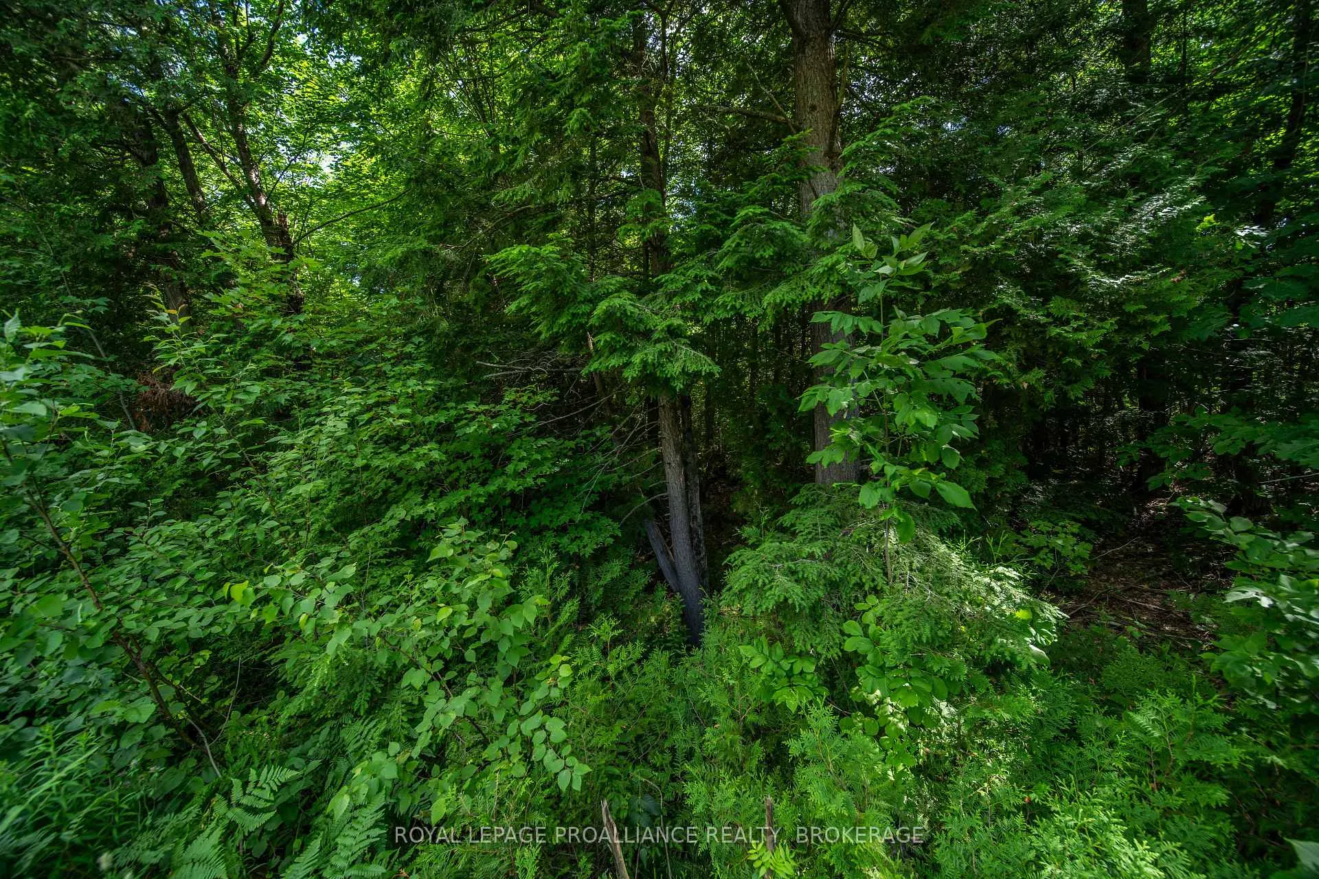 Photo 10 of Lot 18,  Part 3 Townline Road, Frontenac, Frontenac Centre — HOMEH