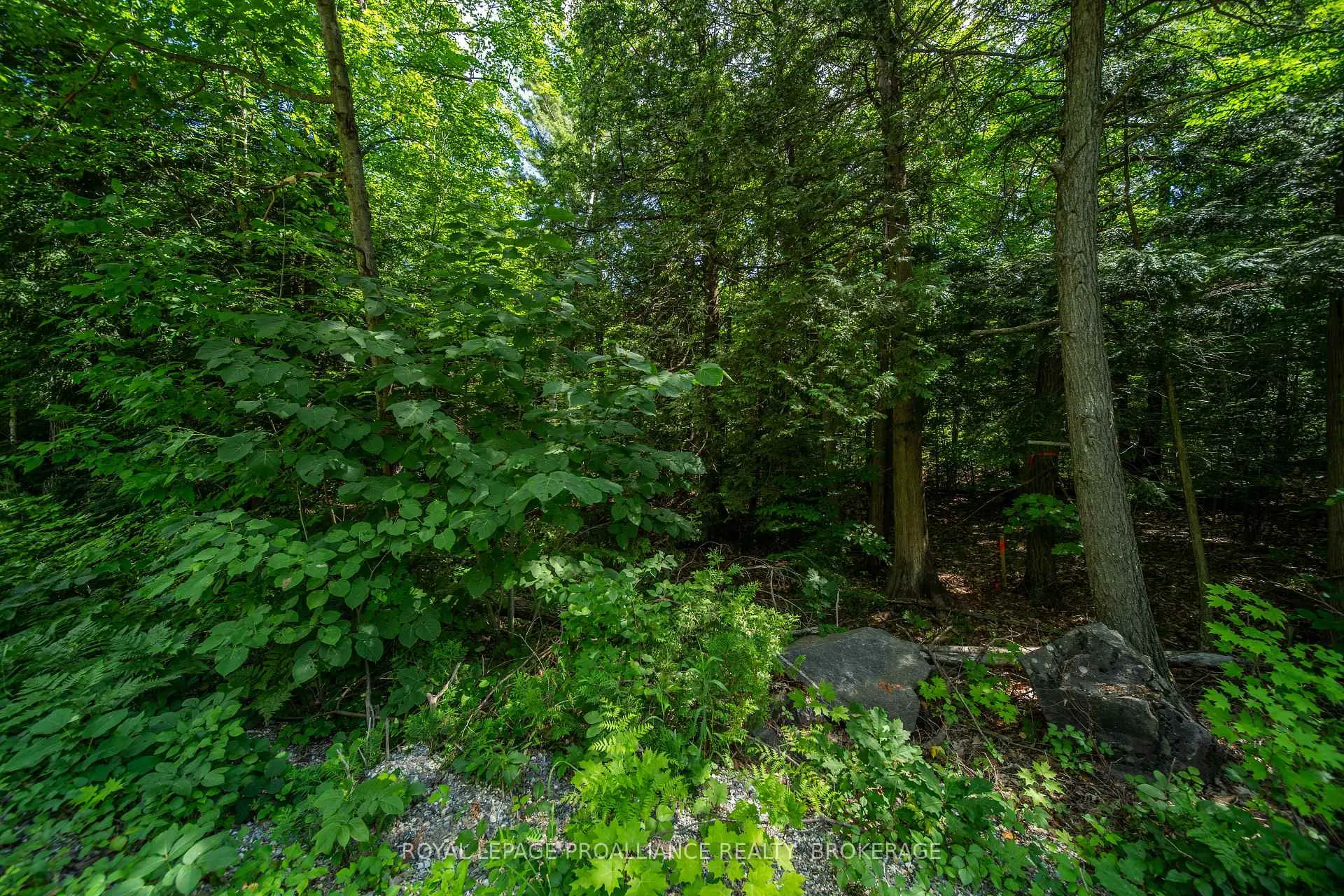Photo 11 of Lot 18,  Part 3 Townline Road, Frontenac, Frontenac Centre — HOMEH