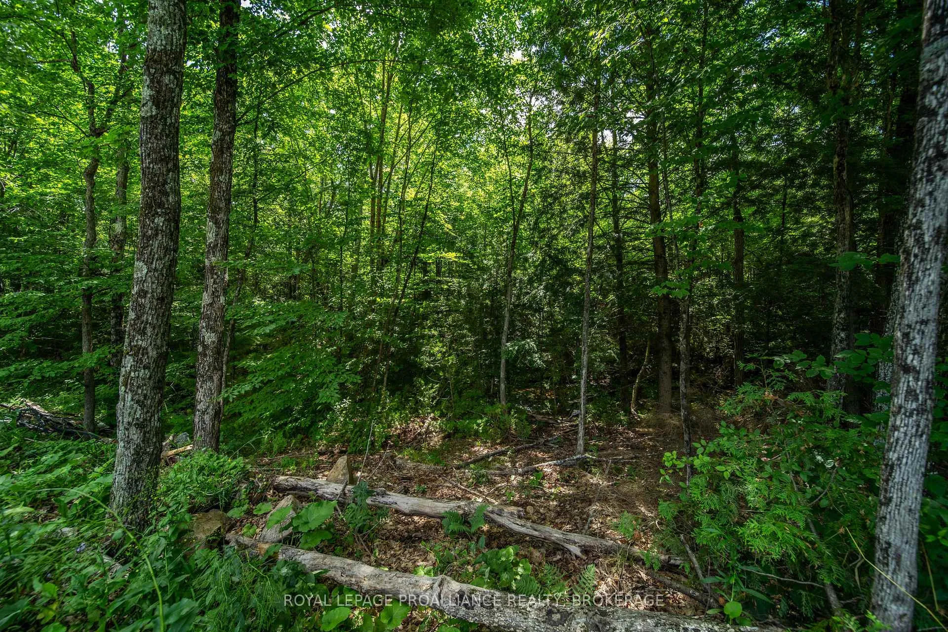 Photo 12 of Lot 18,  Part 3 Townline Road, Frontenac, Frontenac Centre — HOMEH