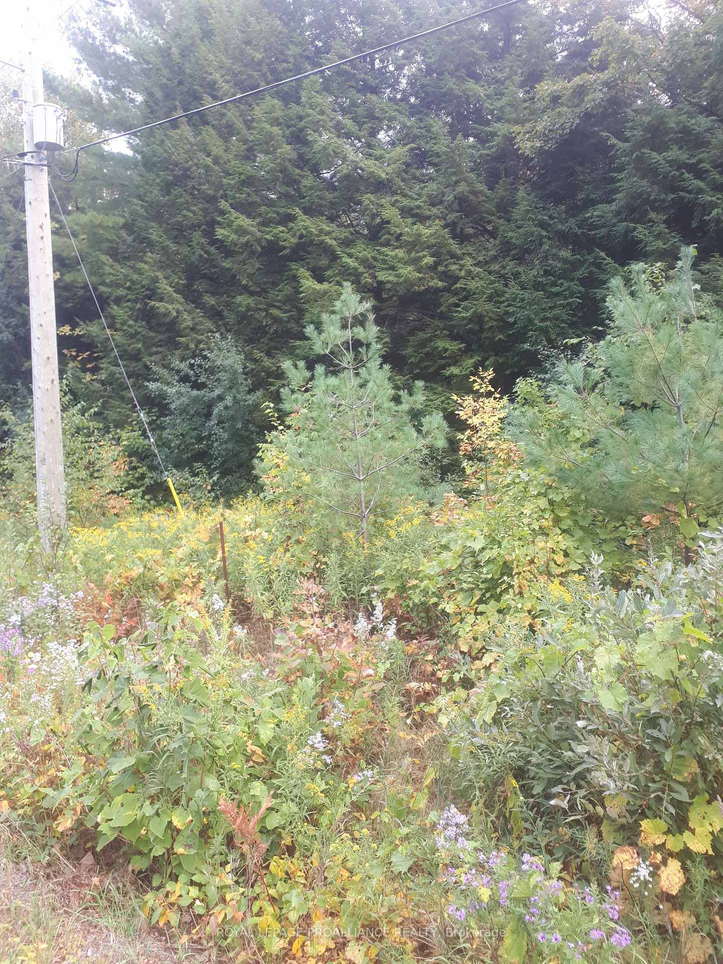 Photo 4 of PT LT 2 Ganaraska Road, Port Hope, Rural Port Hope — HOMEH