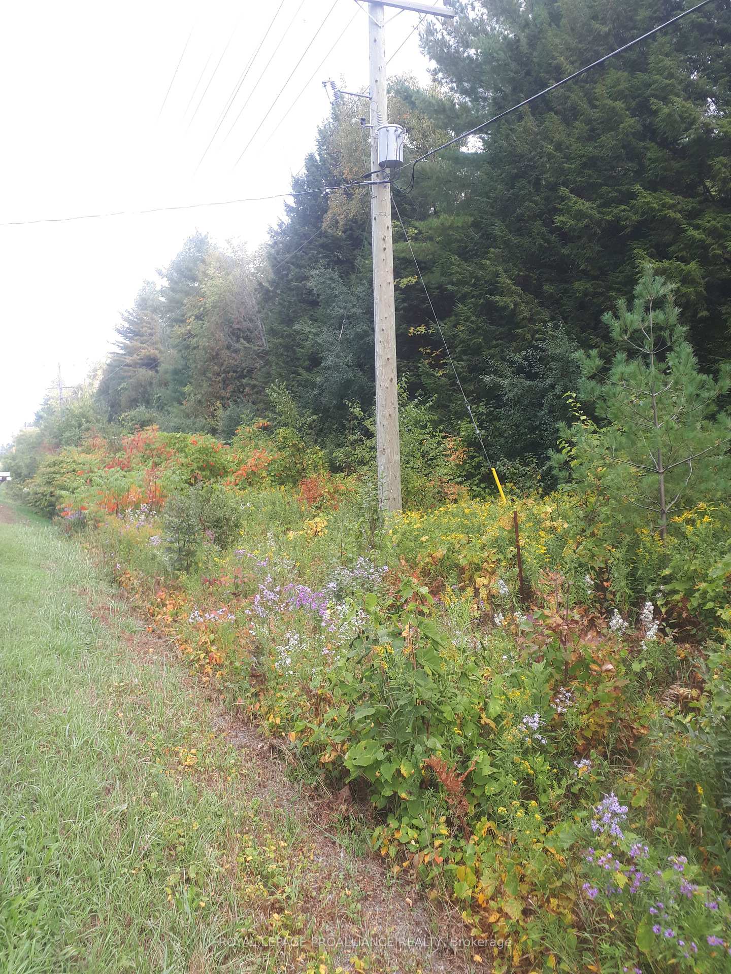 Photo 5 of PT LT 2 Ganaraska Road, Port Hope, Rural Port Hope — HOMEH