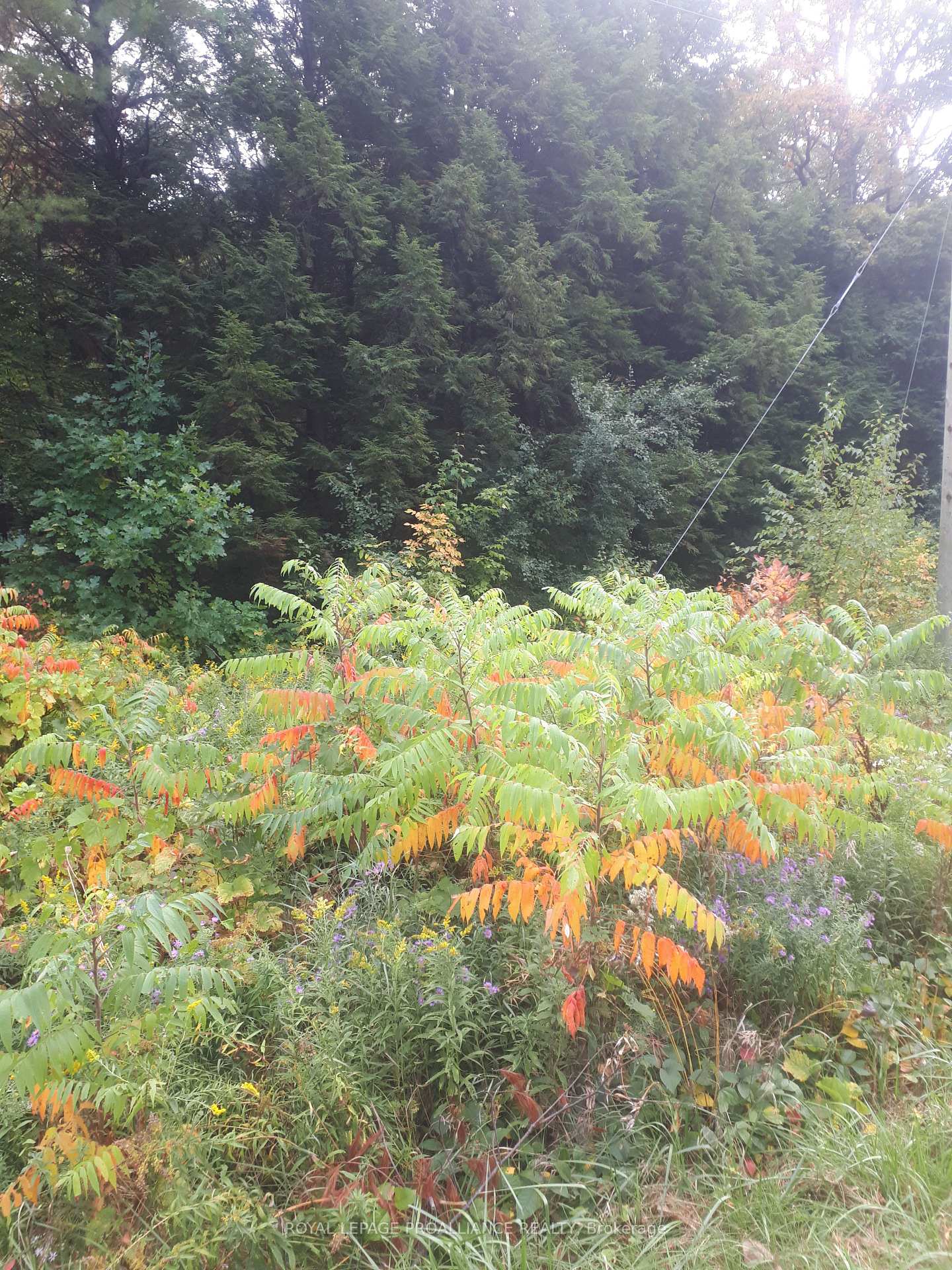 Photo 6 of PT LT 2 Ganaraska Road, Port Hope, Rural Port Hope — HOMEH