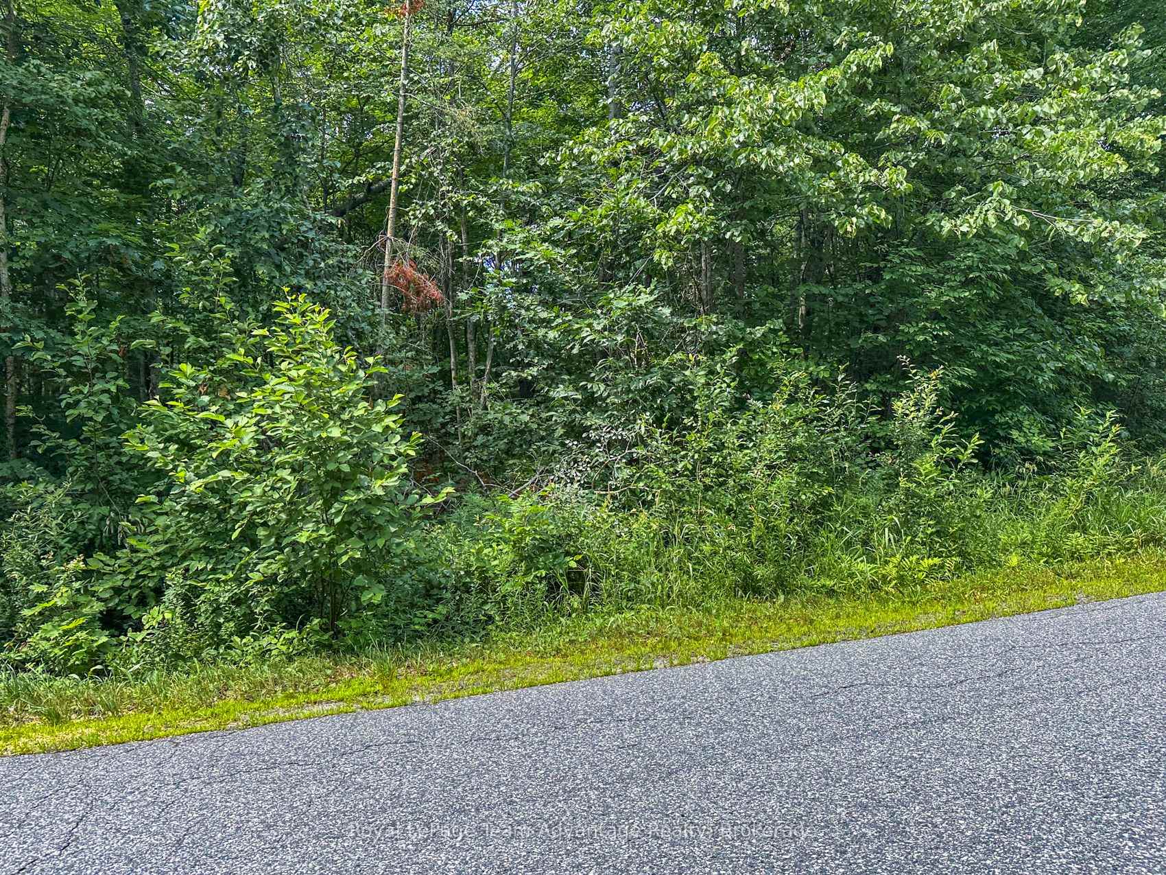 Photo 5 of (Part 2) 25 Long Lake Estates Road, McDougall — HOMEH