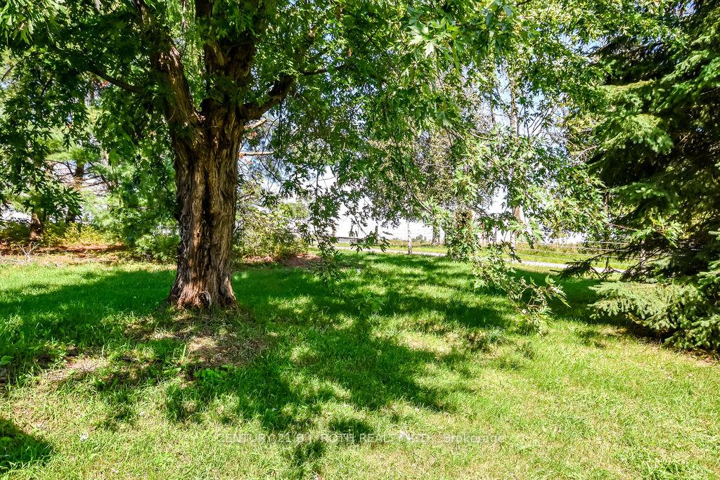 Photo 4 of 1998 Old Barrie Road E, Oro-Medonte, Rural Oro-Medonte — HOMEH
