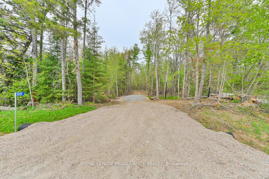 Photo 5 of 1031 Road 506, North Frontenac, Frontenac North — HOMEH