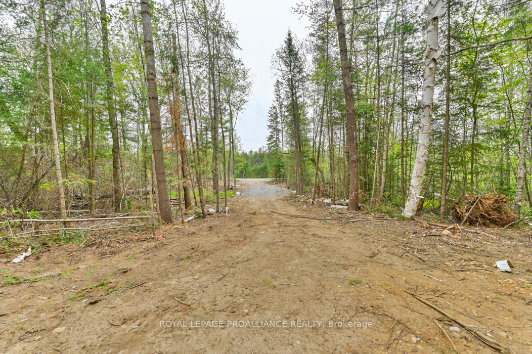 Photo 6 of 1031 Road 506, North Frontenac, Frontenac North — HOMEH