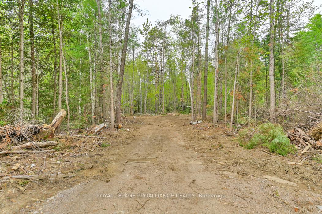 Photo 25 of 1031 Road 506, North Frontenac, Frontenac North — HOMEH