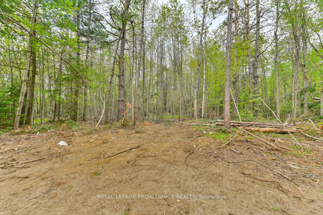 Photo 26 of 1031 Road 506, North Frontenac, Frontenac North — HOMEH