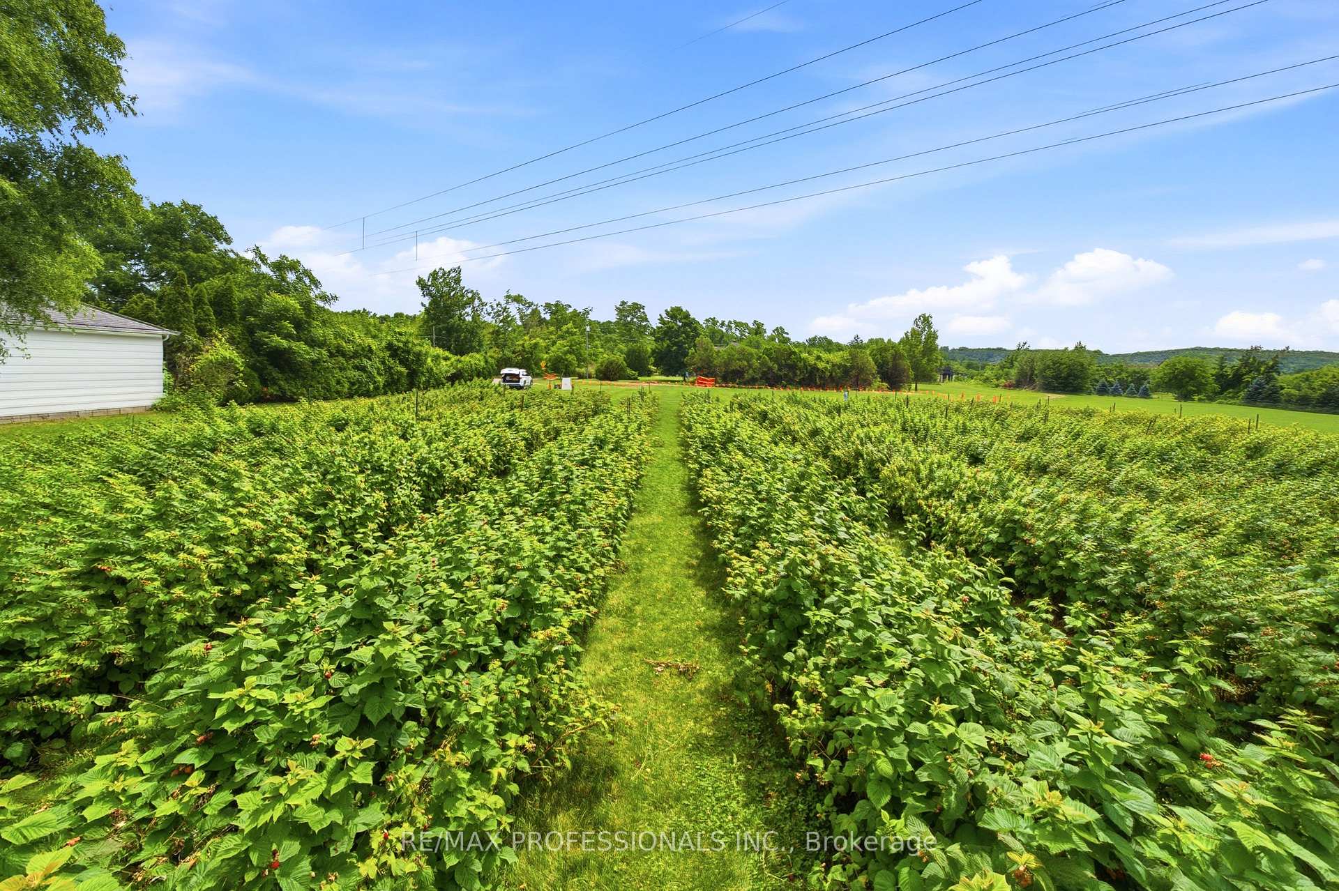 Photo 22 of Lot 1 Tallman Drive, Lincoln, Lincoln-Jordan/Vineland — HOMEH