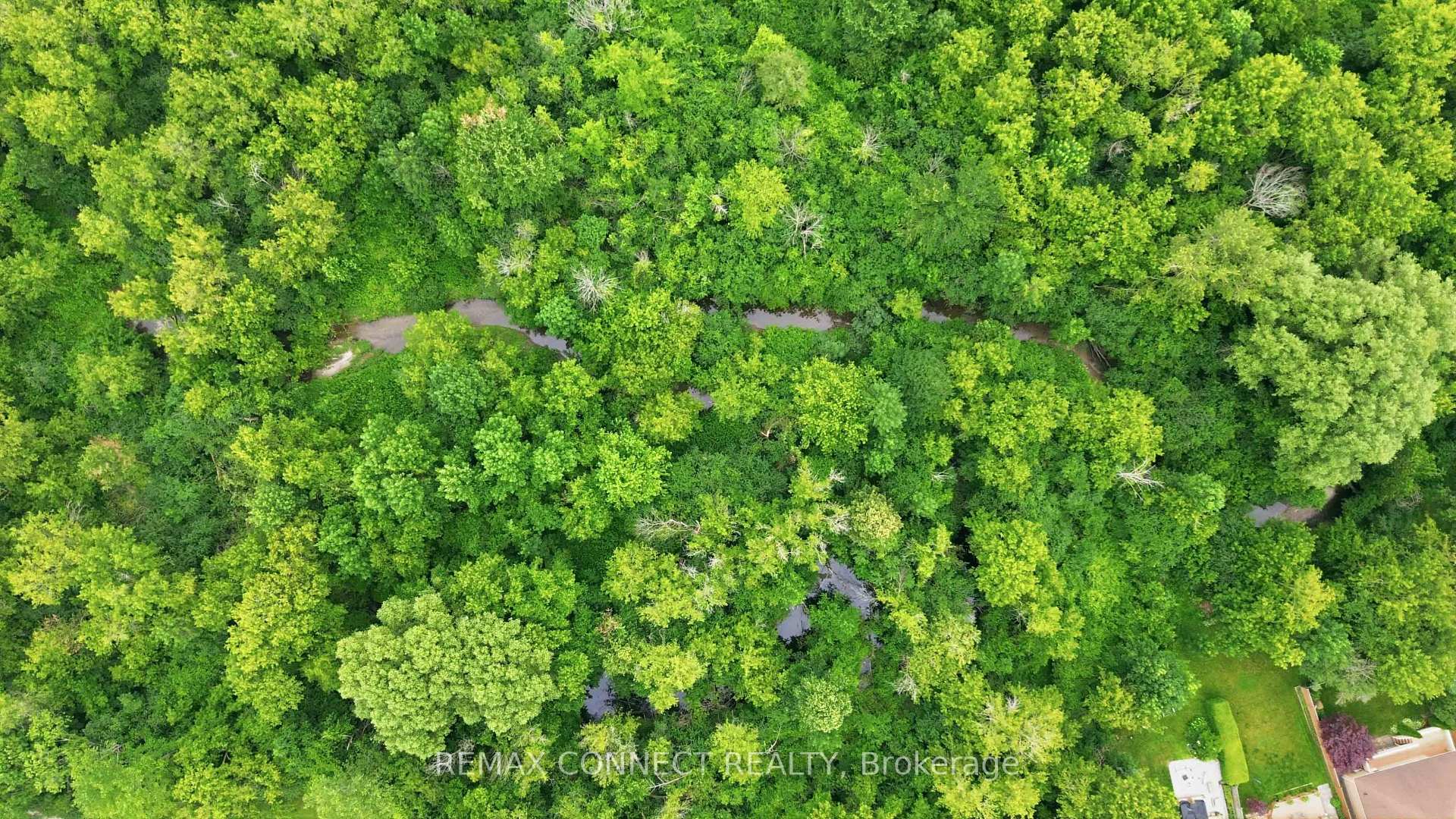 Photo 32 of 150 Pringle Drive, Whitby, Pringle Creek — HOMEH