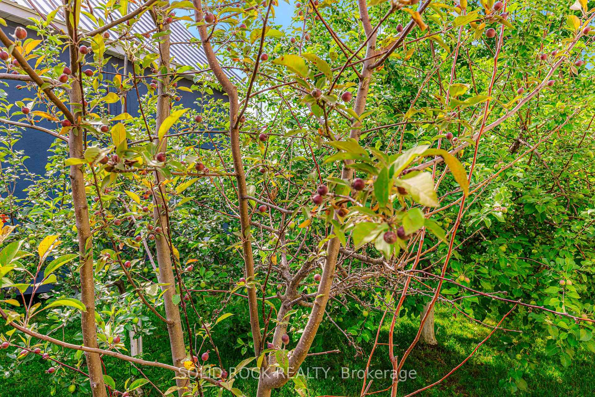 Photo 6 of 3022 John Street, Edwardsburgh/Cardinal, Town of Cardinal — HOMEH