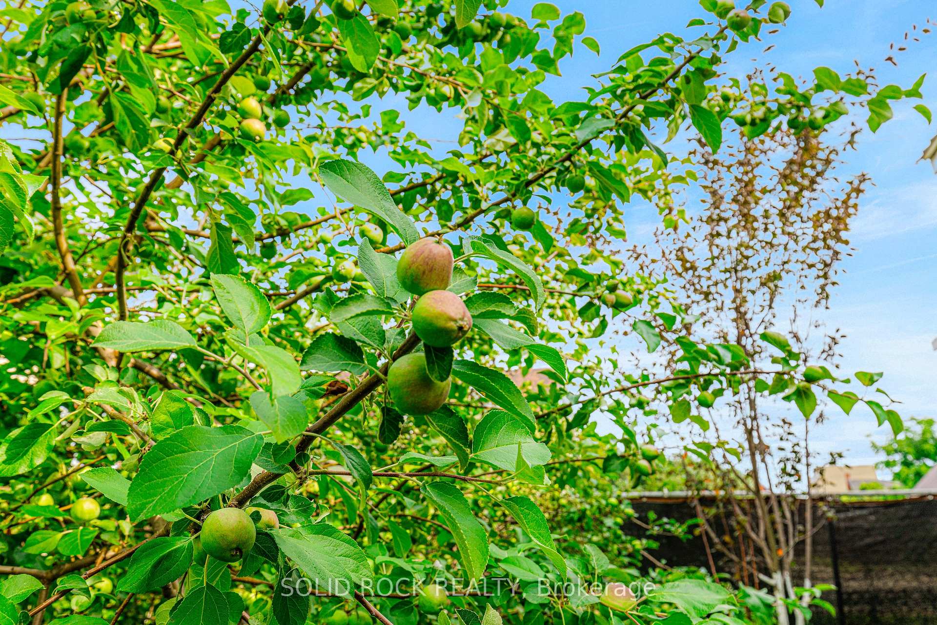Photo 13 of 3022 John Street, Edwardsburgh/Cardinal, Town of Cardinal — HOMEH