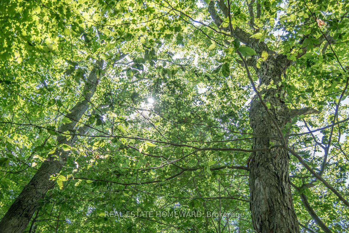 Photo 3 of PT 1 Boyce Road, Alnwick/Haldimand, Rural Alnwick/Haldimand — HOMEH