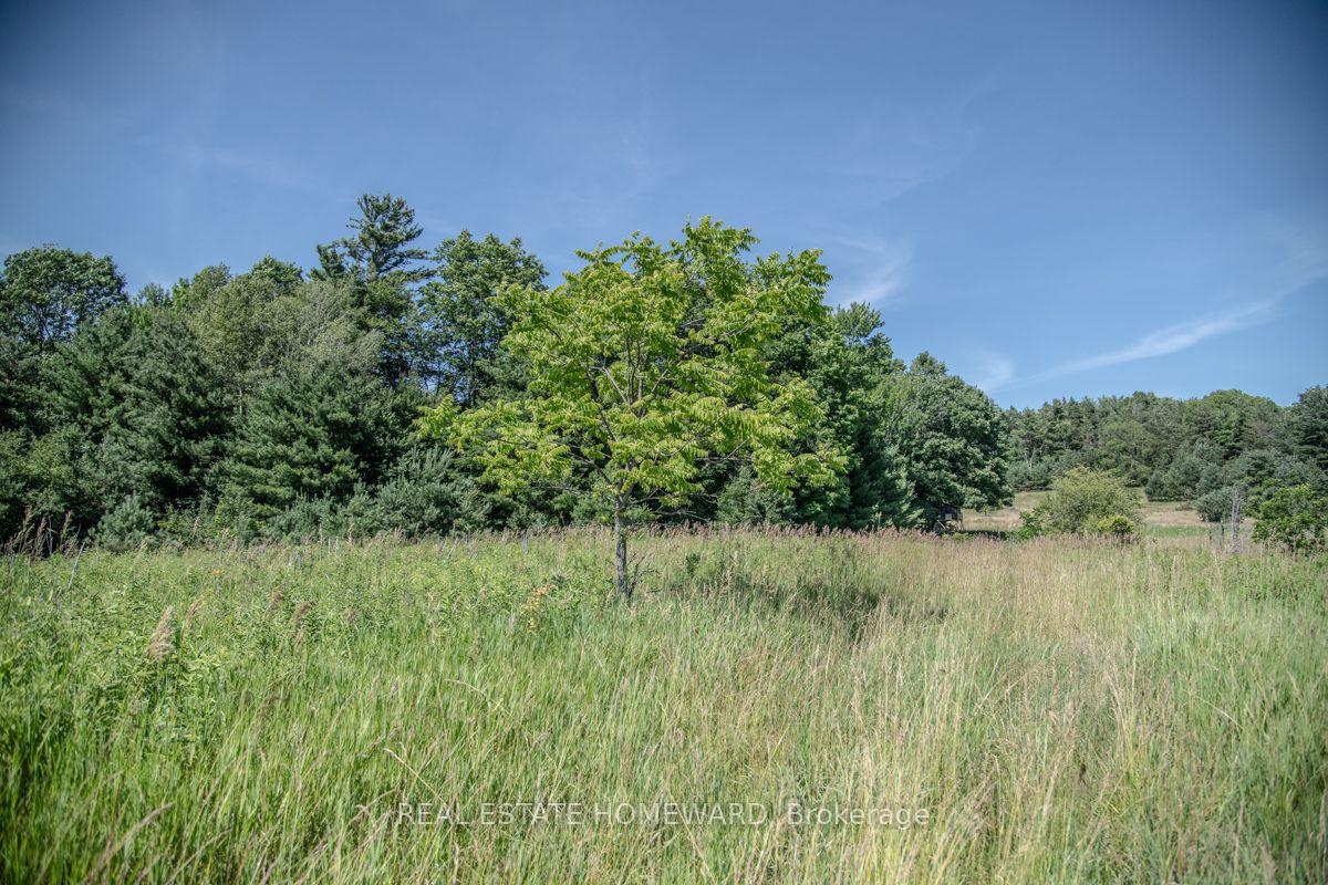 Photo 4 of PT 1 Boyce Road, Alnwick/Haldimand, Rural Alnwick/Haldimand — HOMEH