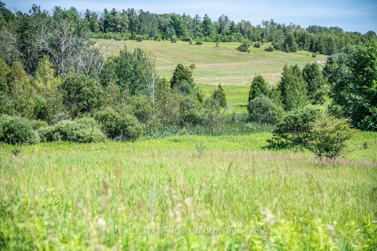 Photo 5 of PT 1 Boyce Road, Alnwick/Haldimand, Rural Alnwick/Haldimand — HOMEH