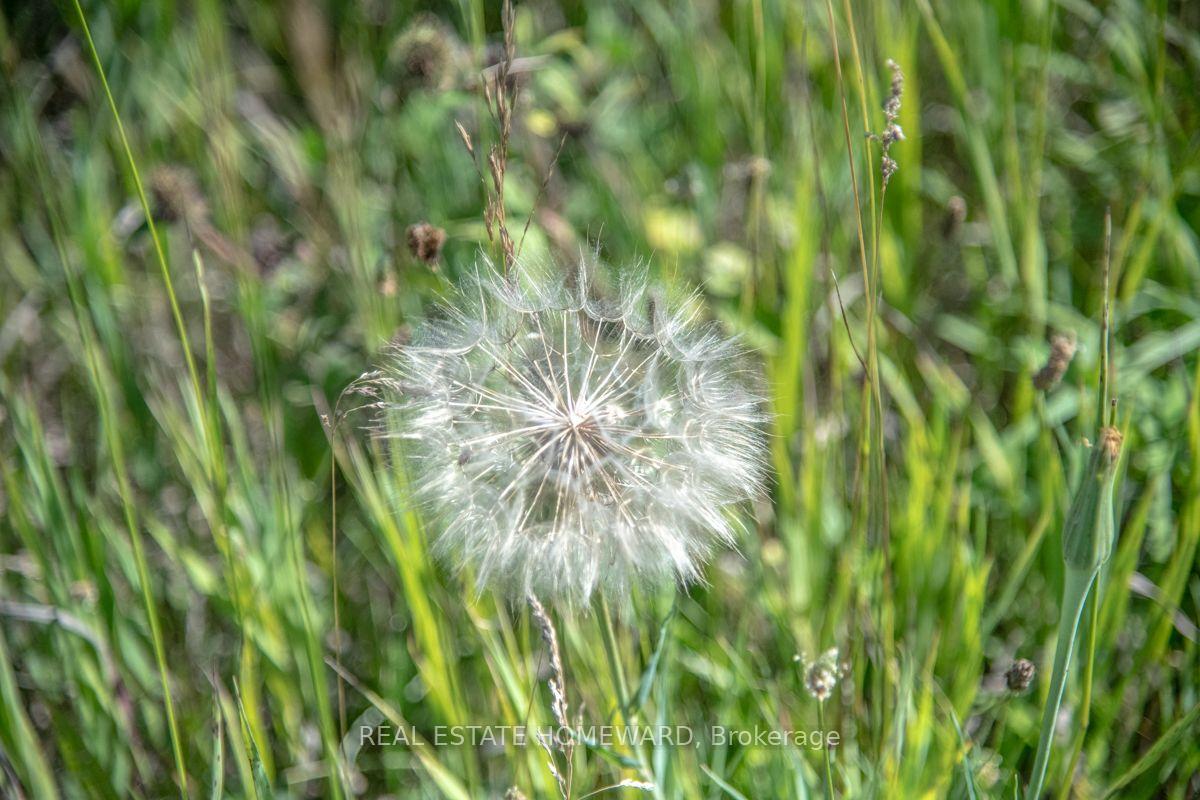 Photo 7 of PT 1 Boyce Road, Alnwick/Haldimand, Rural Alnwick/Haldimand — HOMEH