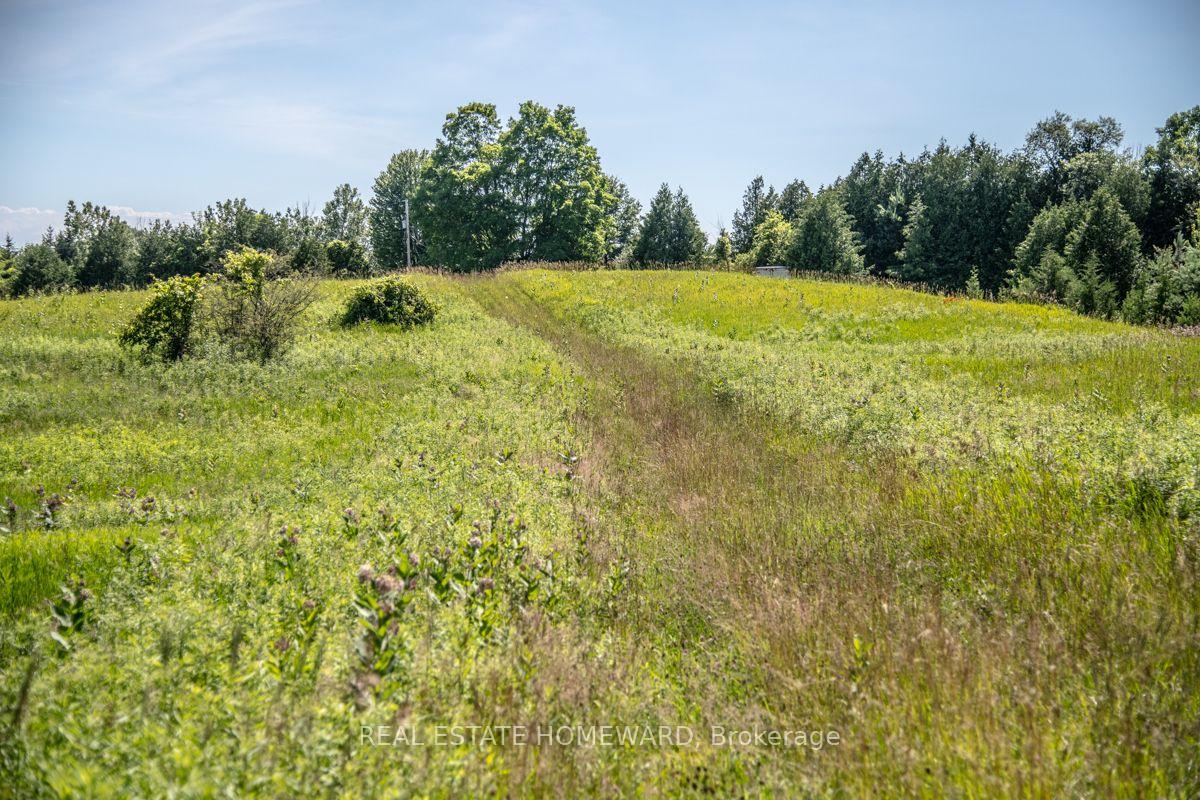 Photo 8 of PT 1 Boyce Road, Alnwick/Haldimand, Rural Alnwick/Haldimand — HOMEH