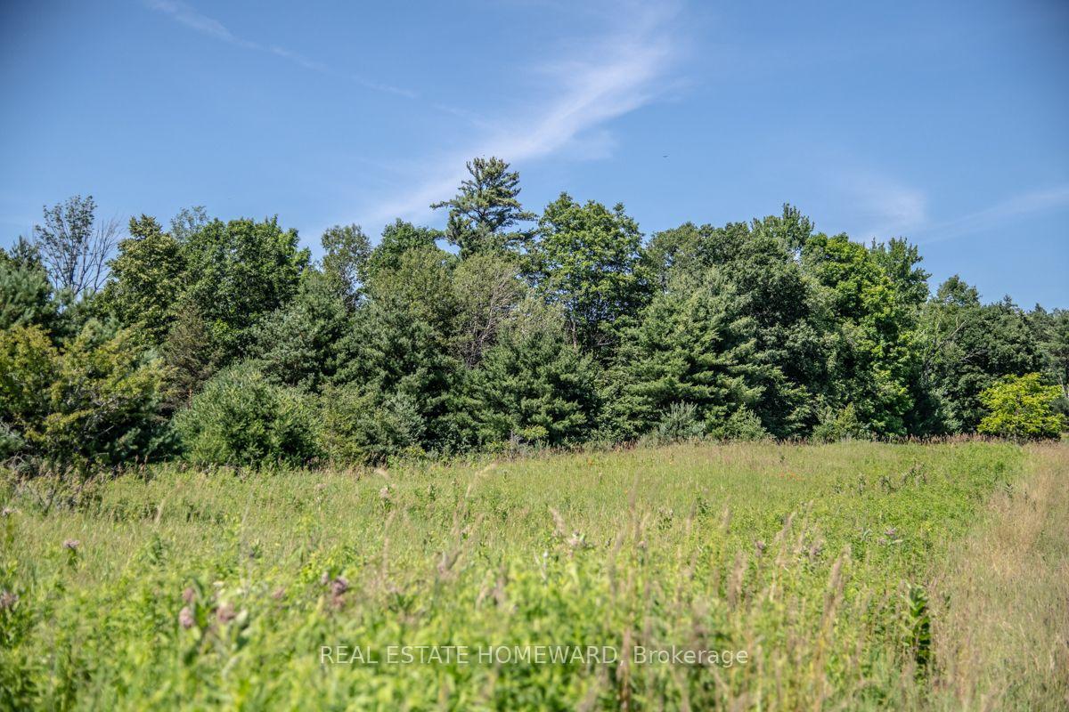 Photo 10 of PT 1 Boyce Road, Alnwick/Haldimand, Rural Alnwick/Haldimand — HOMEH