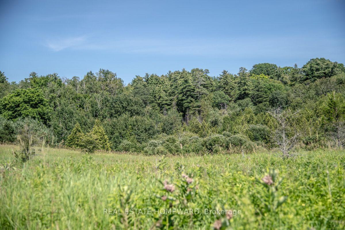 Photo 12 of PT 1 Boyce Road, Alnwick/Haldimand, Rural Alnwick/Haldimand — HOMEH